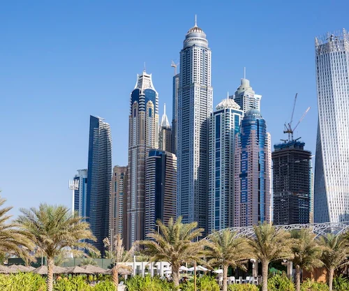 skyscrapers-palm-trees-dubai-uae_268835-1062